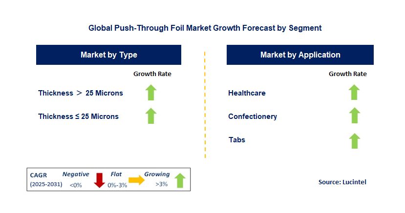 Push-Through Foil Market by Segment